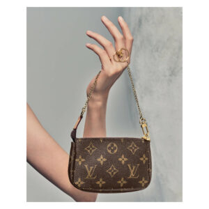 (SOLD) genuine (NEW) Louis Vuitton monogram mini pochette accessoires